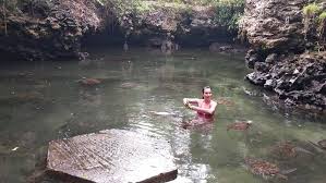 Zanzibar Kuzey Kıyısı ve Kaplumbağa Korunağı Turu